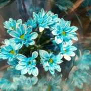 遠藤　出雲 お礼日記です 30・40・50代☆人妻熟女コレクション