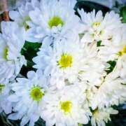 ヒメ日記 2025/12/17 15:14 投稿 遠藤　出雲 30・40・50代☆人妻熟女コレクション