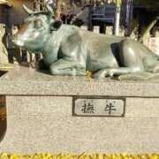 ヒメ日記 2025/12/18 14:49 投稿 遠藤　出雲 30・40・50代☆人妻熟女コレクション