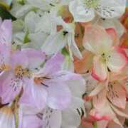 ヒメ日記 2025/12/19 14:25 投稿 遠藤　出雲 30・40・50代☆人妻熟女コレクション