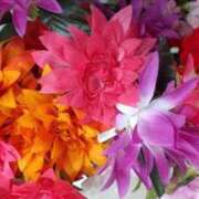 ヒメ日記 2025/12/20 17:58 投稿 遠藤　出雲 30・40・50代☆人妻熟女コレクション