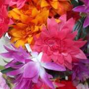 ヒメ日記 2026/01/30 16:41 投稿 遠藤　出雲 30・40・50代☆人妻熟女コレクション