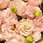 ヒメ日記 2026/02/05 16:18 投稿 遠藤　出雲 30・40・50代☆人妻熟女コレクション