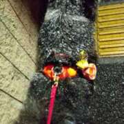 ヒメ日記 2026/02/09 15:20 投稿 遠藤　出雲 30・40・50代☆人妻熟女コレクション