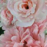 ヒメ日記 2026/03/03 14:45 投稿 遠藤　出雲 30・40・50代☆人妻熟女コレクション