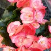 ヒメ日記 2026/03/05 14:45 投稿 遠藤　出雲 30・40・50代☆人妻熟女コレクション