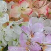 ヒメ日記 2026/03/14 14:51 投稿 遠藤　出雲 30・40・50代☆人妻熟女コレクション