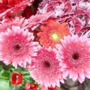 ヒメ日記 2026/03/18 14:45 投稿 遠藤　出雲 30・40・50代☆人妻熟女コレクション