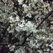 ヒメ日記 2026/04/03 14:45 投稿 遠藤　出雲 30・40・50代☆人妻熟女コレクション