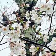 ヒメ日記 2026/04/06 15:06 投稿 遠藤　出雲 30・40・50代☆人妻熟女コレクション