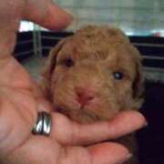 ヒメ日記 2026/04/25 14:45 投稿 遠藤　出雲 30・40・50代☆人妻熟女コレクション