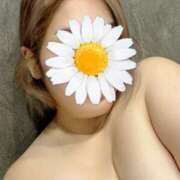 ヒメ日記 2025/07/29 08:52 投稿 能島あまみ しこたま奥様 横浜店