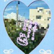 ヒメ日記 2025/08/09 02:17 投稿 桐石あやみ 西川口風俗ド淫乱ンド