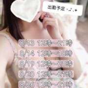 ヒメ日記 2025/08/12 20:16 投稿 せいな【癒されすぎ注意報】 One More 奥様 新宿店