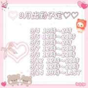 ヒメ日記 2025/08/30 21:42 投稿 せいな【癒されすぎ注意報】 One More 奥様 新宿店