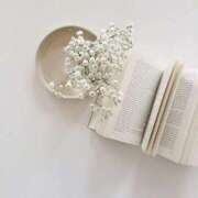 ヒメ日記 2025/08/24 20:44 投稿 しおり ピンクコレクション尼崎店