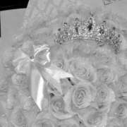 ヒメ日記 2025/07/30 13:48 投稿 ハコクラゲ　箱水母 女の子市場