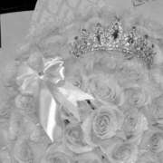 ヒメ日記 2025/07/30 18:58 投稿 ハコクラゲ　箱水母 女の子市場