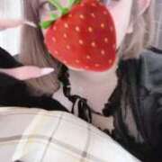 ヒメ日記 2025/08/04 00:48 投稿 ハコクラゲ　箱水母 女の子市場