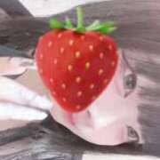 ヒメ日記 2025/08/06 12:28 投稿 ハコクラゲ　箱水母 女の子市場