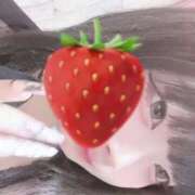 ヒメ日記 2025/09/08 12:48 投稿 ハコクラゲ　箱水母 女の子市場