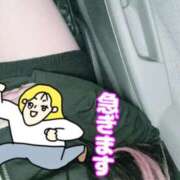 ヒメ日記 2025/11/05 19:58 投稿 ハコクラゲ　箱水母 女の子市場