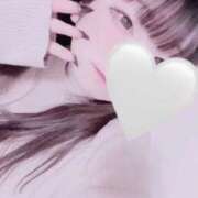 ヒメ日記 2025/11/21 12:38 投稿 ハコクラゲ　箱水母 女の子市場