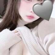 ヒメ日記 2025/11/23 12:11 投稿 ハコクラゲ　箱水母 女の子市場