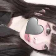 ヒメ日記 2025/12/01 11:38 投稿 ハコクラゲ　箱水母 女の子市場