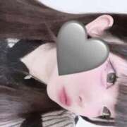 ヒメ日記 2025/12/05 11:58 投稿 ハコクラゲ　箱水母 女の子市場