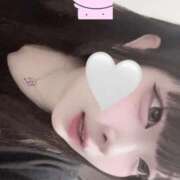 ヒメ日記 2025/12/10 12:08 投稿 ハコクラゲ　箱水母 女の子市場