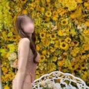 ヒメ日記 2025/11/14 17:42 投稿 白河りお オペラ(吉原)