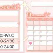ヒメ日記 2025/11/14 07:01 投稿 たぬ 素人ぽちゃカワ学園