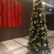 ヒメ日記 2025/11/23 02:20 投稿 たぬ 素人ぽちゃカワ学園