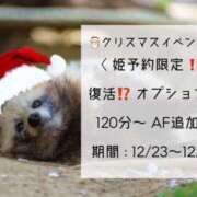 ヒメ日記 2025/12/23 17:10 投稿 たぬ 素人ぽちゃカワ学園