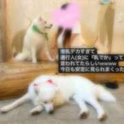 ヒメ日記 2025/08/17 22:40 投稿 このは 素人ぽちゃカワ学園