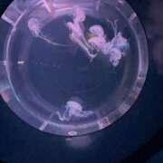 ヒメ日記 2026/03/26 15:08 投稿 ちひろ 素人ぽちゃカワ学園