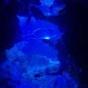 ヒメ日記 2026/03/29 13:56 投稿 ちひろ 素人ぽちゃカワ学園