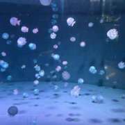 ヒメ日記 2026/04/12 23:24 投稿 ちひろ 素人ぽちゃカワ学園