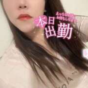 ヒメ日記 2025/07/31 15:00 投稿 塚田　りさ ミセスサマンサPLUS