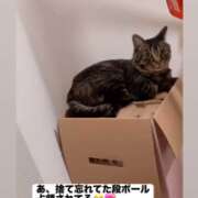 ヒメ日記 2025/08/03 05:31 投稿 塚田 りさ ミセスサマンサPLUS