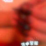 ヒメ日記 2025/08/14 07:00 投稿 塚田　りさ ミセスサマンサPLUS