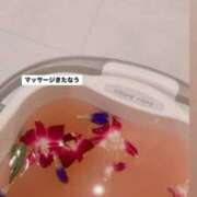 ヒメ日記 2025/09/02 05:55 投稿 塚田　りさ ミセスサマンサPLUS