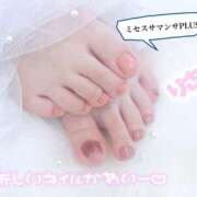 ヒメ日記 2025/09/02 19:04 投稿 塚田　りさ ミセスサマンサPLUS