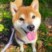 ヒメ日記 2025/09/18 23:40 投稿 塚田　りさ ミセスサマンサPLUS