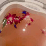 ヒメ日記 2025/10/29 20:43 投稿 塚田　りさ ミセスサマンサPLUS