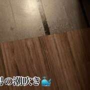 ヒメ日記 2025/11/14 21:02 投稿 塚田　りさ ミセスサマンサPLUS