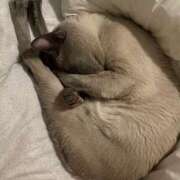 ヒメ日記 2026/01/07 12:12 投稿 塚田　りさ ミセスサマンサPLUS