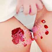 ヒメ日記 2026/01/15 18:15 投稿 塚田　りさ ミセスサマンサPLUS