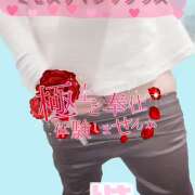 ヒメ日記 2026/01/20 17:00 投稿 塚田　りさ ミセスサマンサPLUS